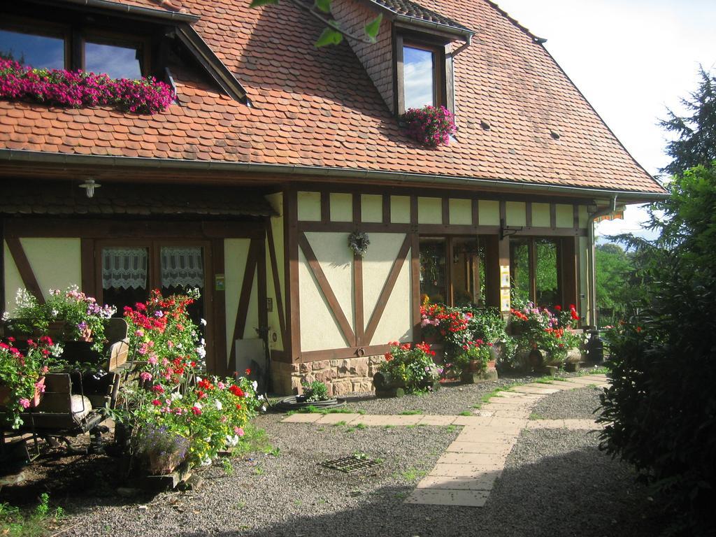 Le Neufeld Bed and Breakfast Oberhaslach Exterior foto
