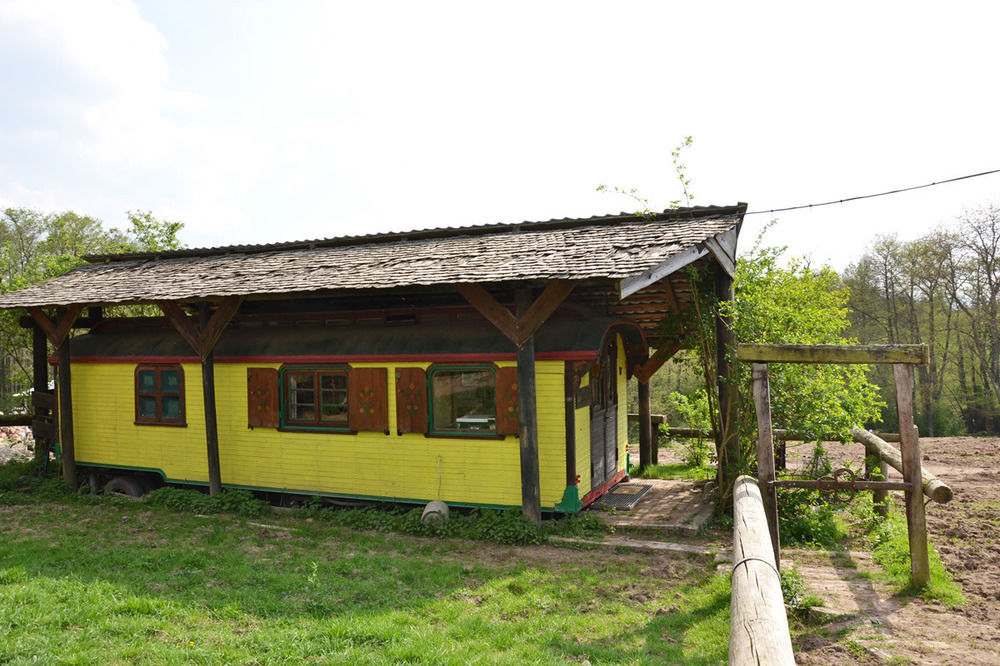 Le Neufeld Bed and Breakfast Oberhaslach Exterior foto