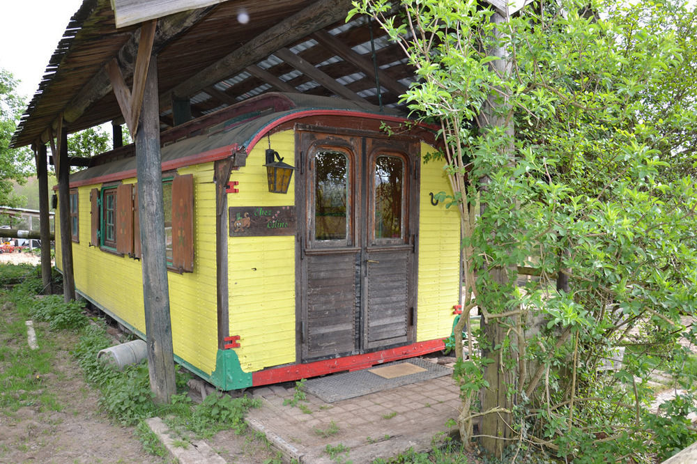 Le Neufeld Bed and Breakfast Oberhaslach Exterior foto