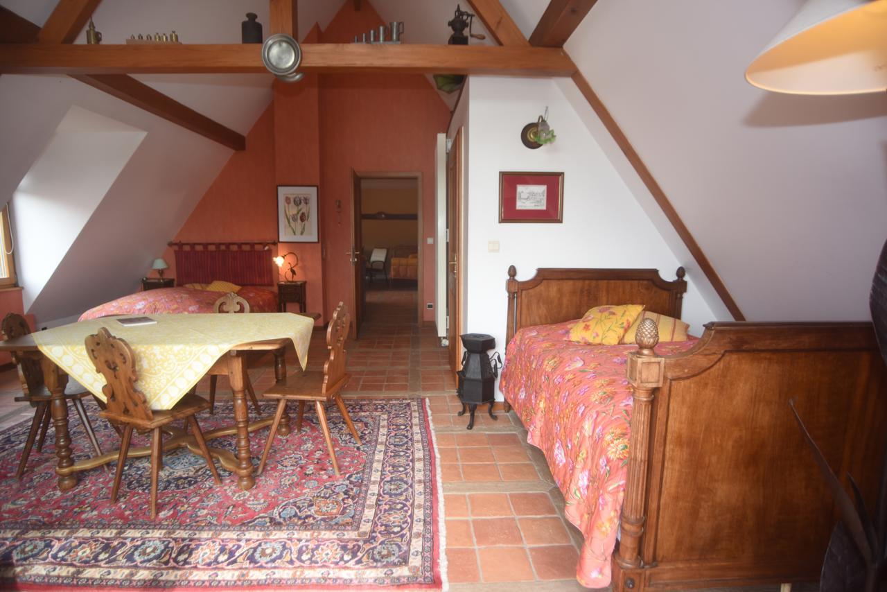 Le Neufeld Bed and Breakfast Oberhaslach Exterior foto